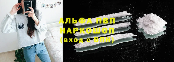 молекула духа Козловка