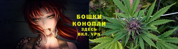 соль ск Коряжма