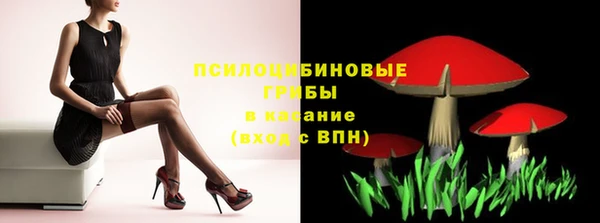 МДПВ Козельск