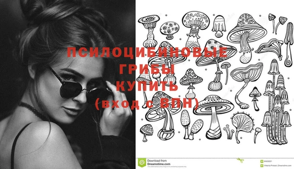 PSILOCYBIN Аркадак