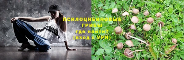 МДПВ Козельск