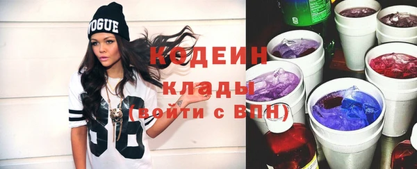 молекула духа Козловка