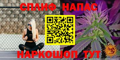 прущая мука Кингисепп