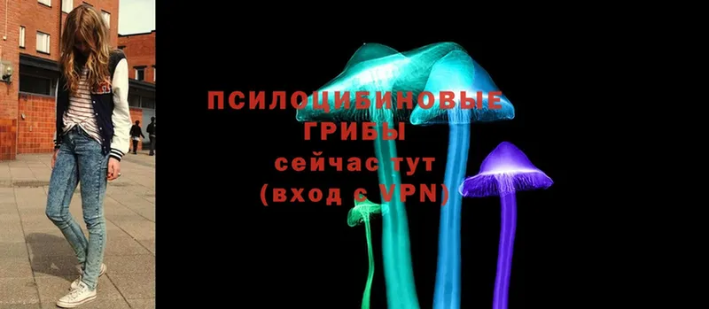 закладки  сайты даркнета какой сайт  Псилоцибиновые грибы мухоморы  Уссурийск 