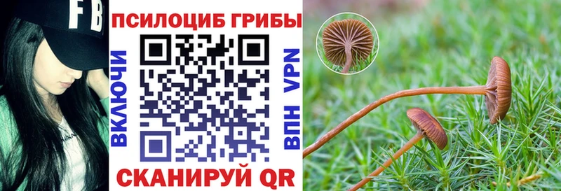 Псилоцибиновые грибы Psilocybine cubensis  Уссурийск 
