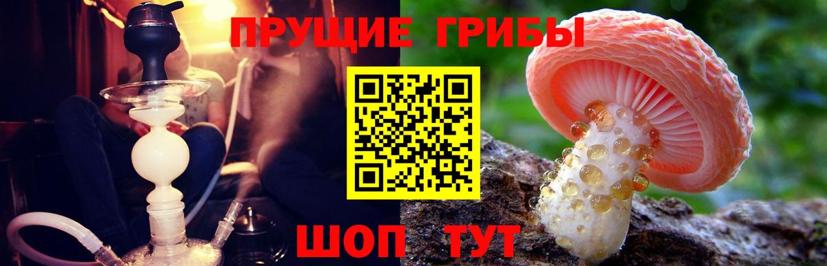 Галлюциногенные грибы Psilocybine cubensis  Вход с VPN  Уссурийск 
